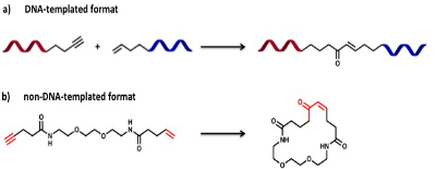 new alkyne–alkene macrocyclization reaction by DTS
